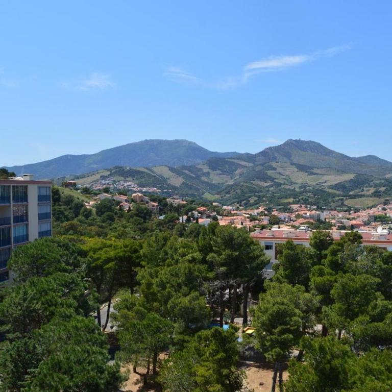 Appart 2 pièces 4 couchages BANYULS SUR MER BN100-D142 - Apartment mit 1 Schlafzimmer und Meerblick - 16