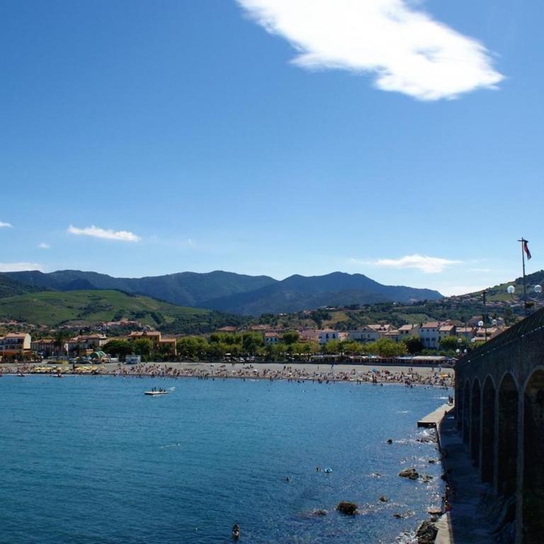 Appart 2 pièces 4 couchages BANYULS SUR MER BN100-D142 - Apartment mit 1 Schlafzimmer und Meerblick - 20