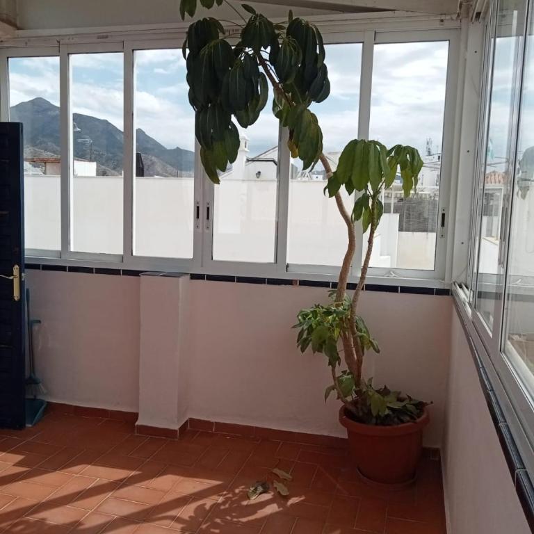 Casa en Nerja Pet Friendly - Casa - 10