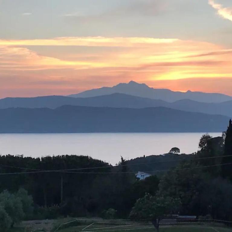 Villa del sole 4 - Appartamento con 1 Camera da Letto - 2
