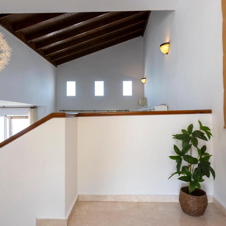 Todimer Luxury Villa Herradura - Villa - 22