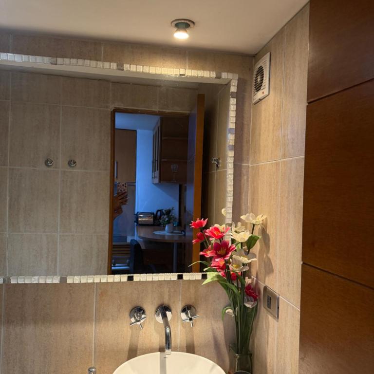 Apart hotel luxury providencia - Apartamento de 1 dormitorio - 2