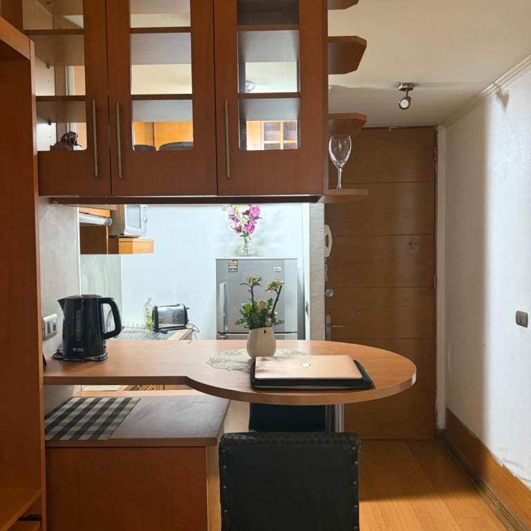 Apart hotel luxury providencia - Apartamento de 1 dormitorio - 5