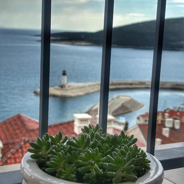 Lustica Bay Iris Apartment - Apartman sa 1 Spavaćom Sobom - 6