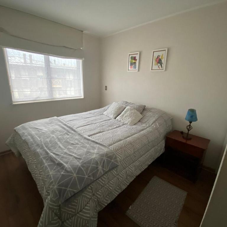 Departamento en Temuco, sector terminal de buses - Apartamento de 1 dormitorio - 7