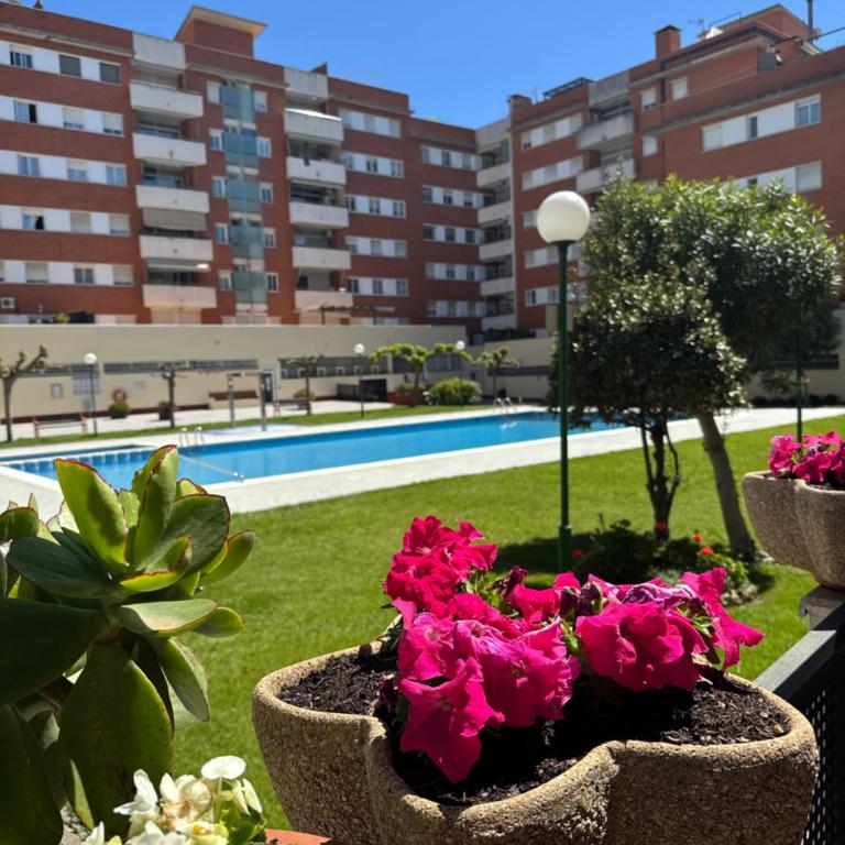 Luxury Svetlanka House Fenals - Apartamento de 1 dormitorio con terraza - 1
