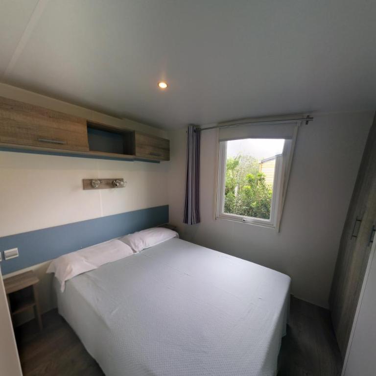 Camping Lacona Pineta - Chalet Comfort - 1