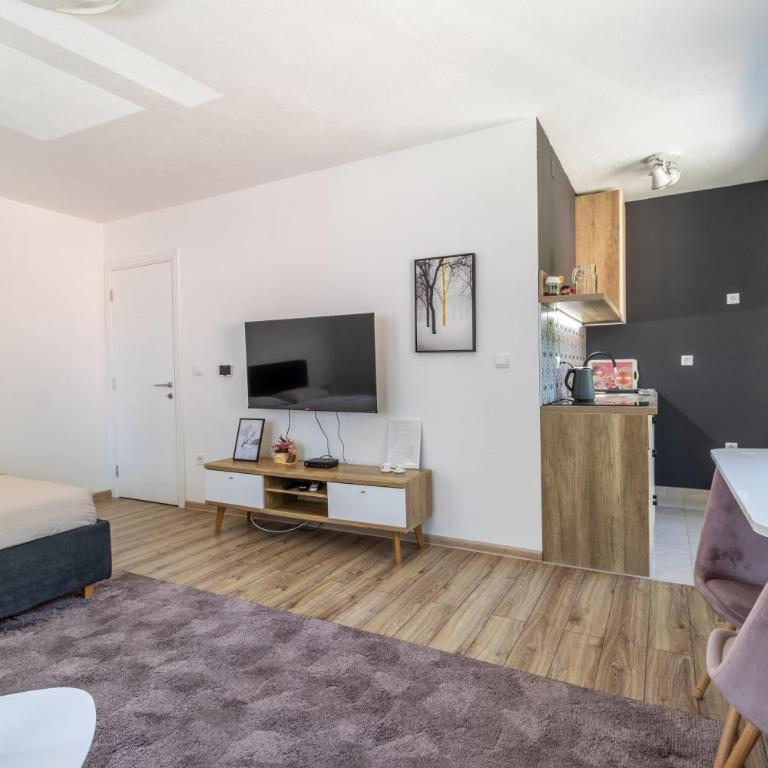 Ilidža Park Apartments - Studio Lit King-Size avec Canapé-Lit - 12