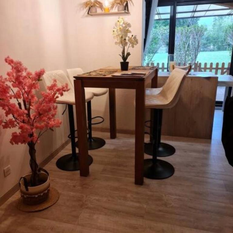 T2 Tout confort dans un cadre exceptionnel ! - Appartement 1 Chambre - 5