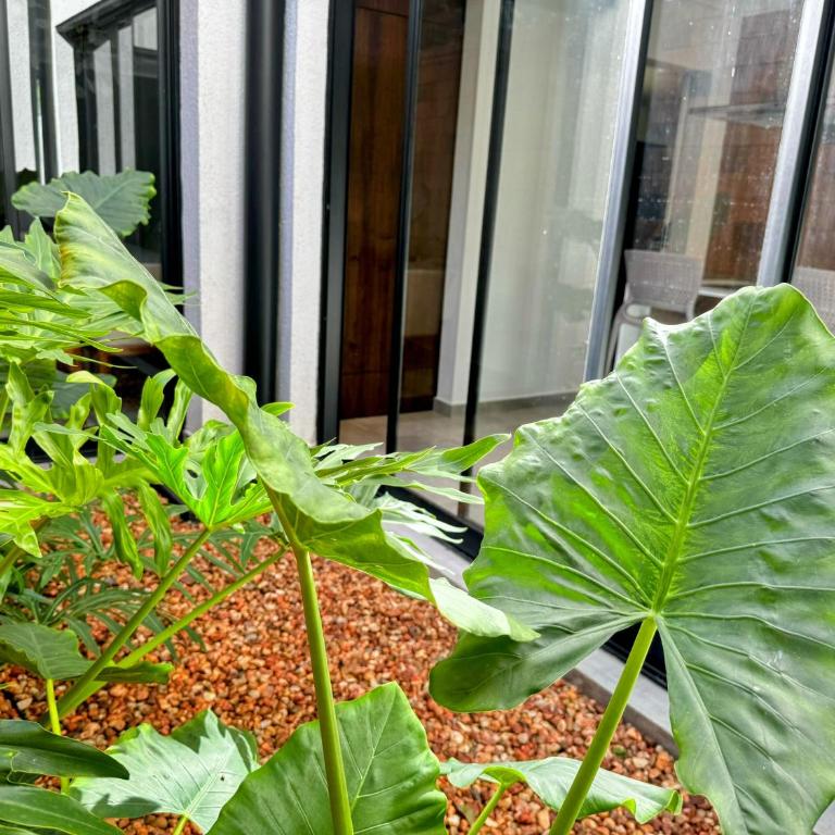 Luxury House in the Most Exclusive Area of Asunción - Villa de 1 dormitorio - 26