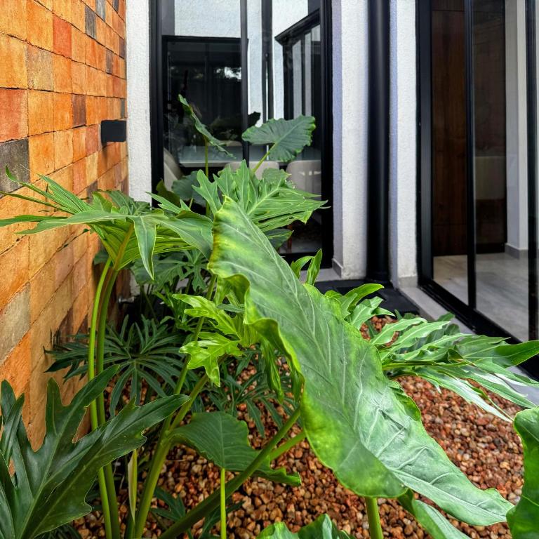 Luxury House in the Most Exclusive Area of Asunción - Villa de 1 dormitorio - 28