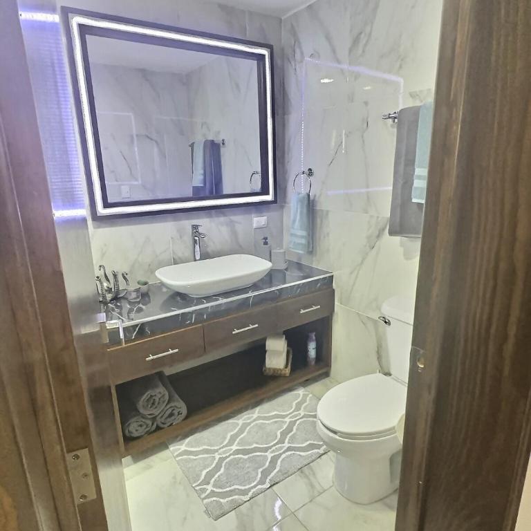 Newly renovated & furnished apartment - Apartamento de 1 dormitorio - 14