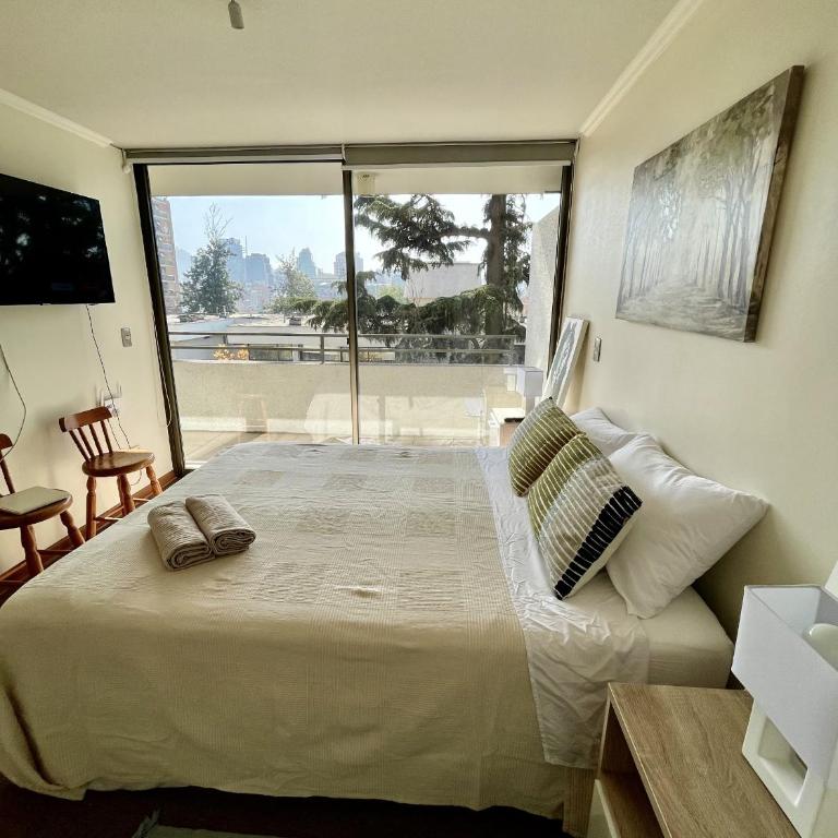 Apartamento luminoso en Providencia - Apartamento de 1 dormitorio - 29