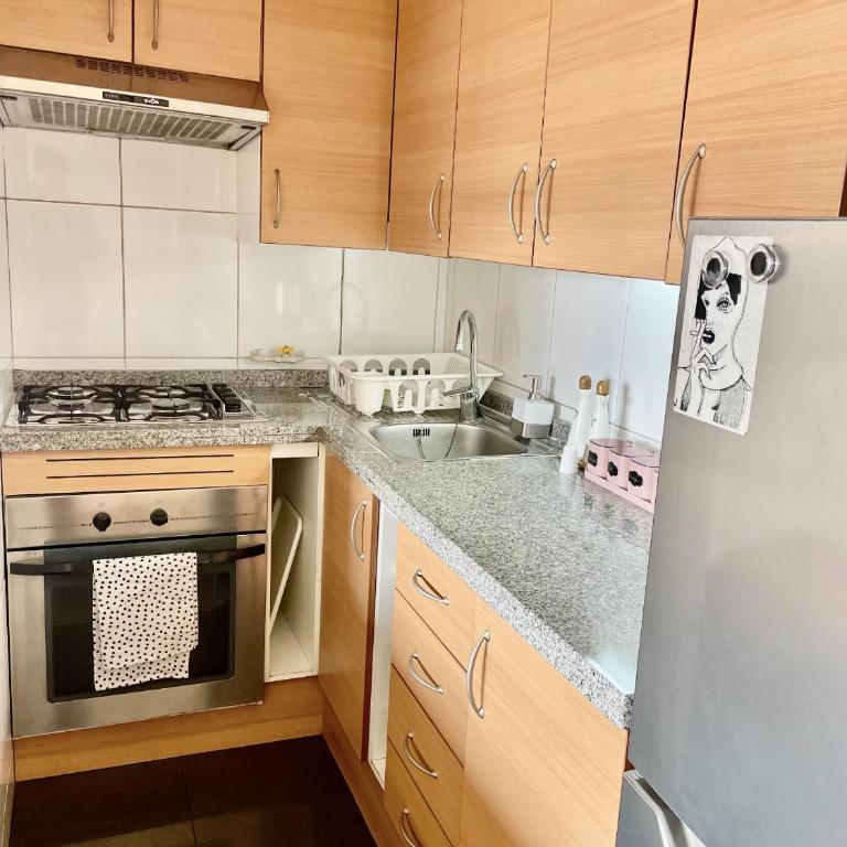 Apartamento luminoso en Providencia - Apartamento de 1 dormitorio - 41