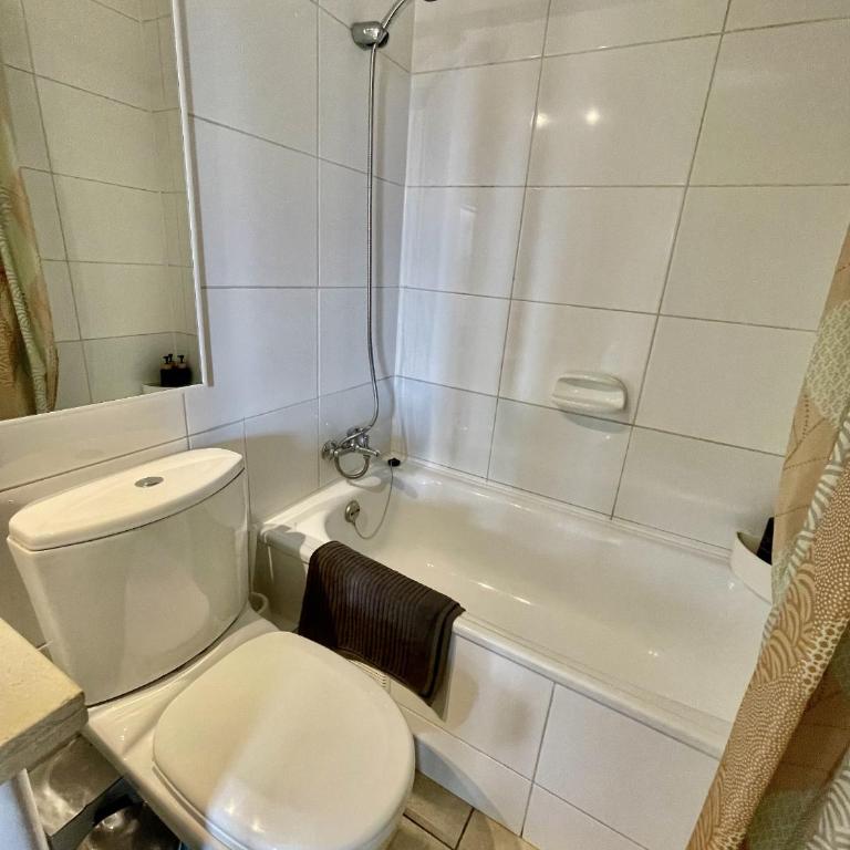 Apartamento luminoso en Providencia - Apartamento de 1 dormitorio - 53