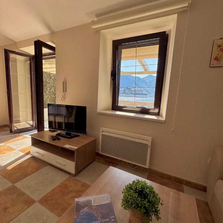 Apartments Radonicic - One-Bedroom Apartment with Balcony and Sea View - 16