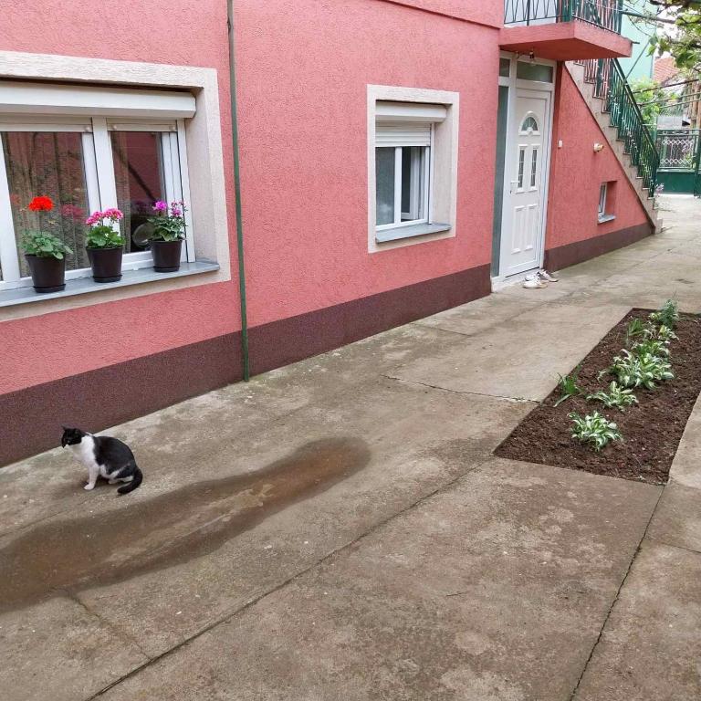 Hepi - Apartman sa 1 Spavaćom Sobom - 54