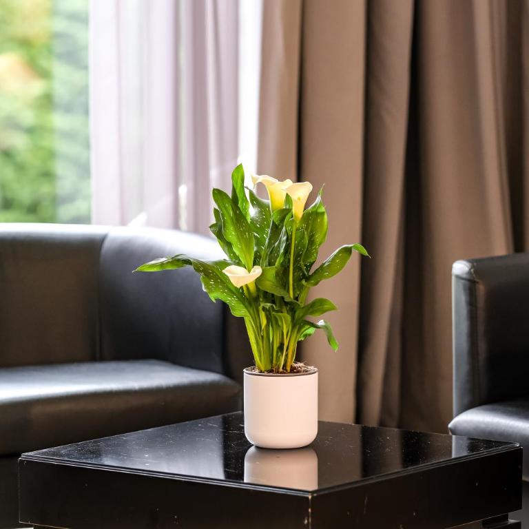 Indiana Boutique Hotel - Chambre Double avec Accès au Jardin - 5