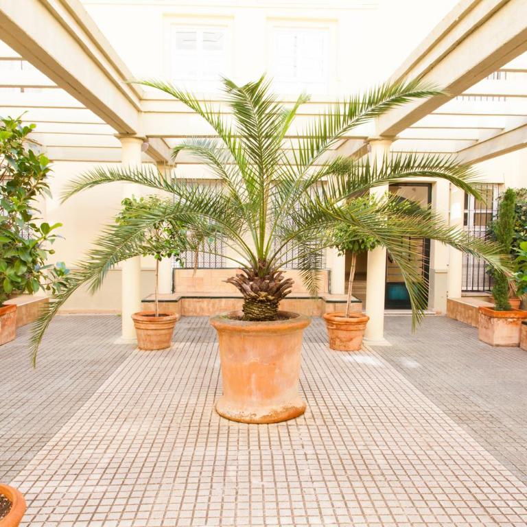 Ibarra Premium Apartment - Two-Bedroom Apartment - 6