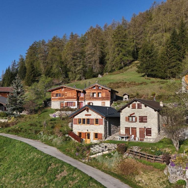 Tiny House facing the Alps - Ski in, Ski out - Chalet - 25