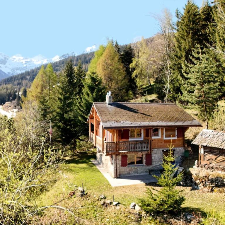 Chalet a Didi - Alps Paradise - 4 Vallees - Chalet - 20