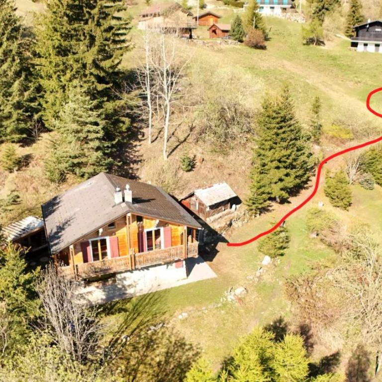 Chalet a Didi - Alps Paradise - 4 Vallees - Chalet - 3