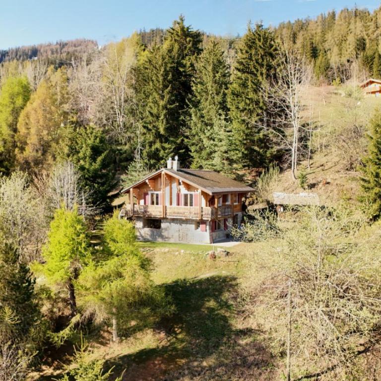 Chalet a Didi - Alps Paradise - 4 Vallees - Chalet - 25