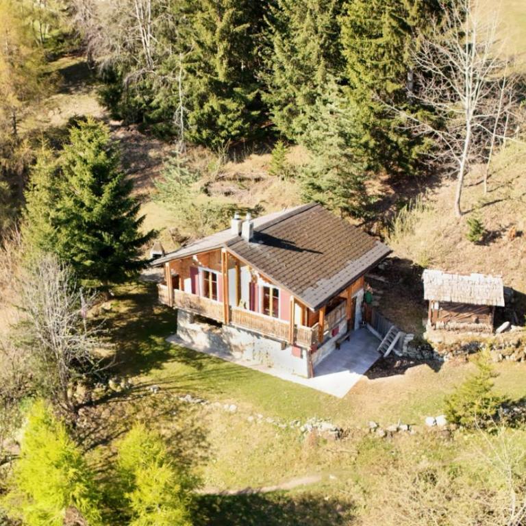 Chalet a Didi - Alps Paradise - 4 Vallees - Chalet - 24