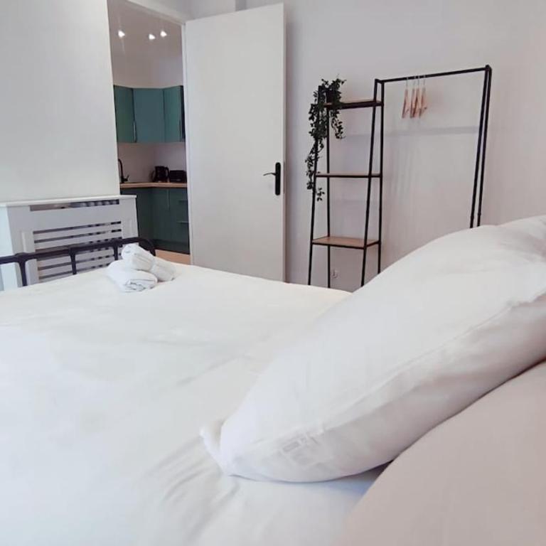 RF101- Magnifique 3 pièces centre Nice - Appartement 2 Chambres - 3