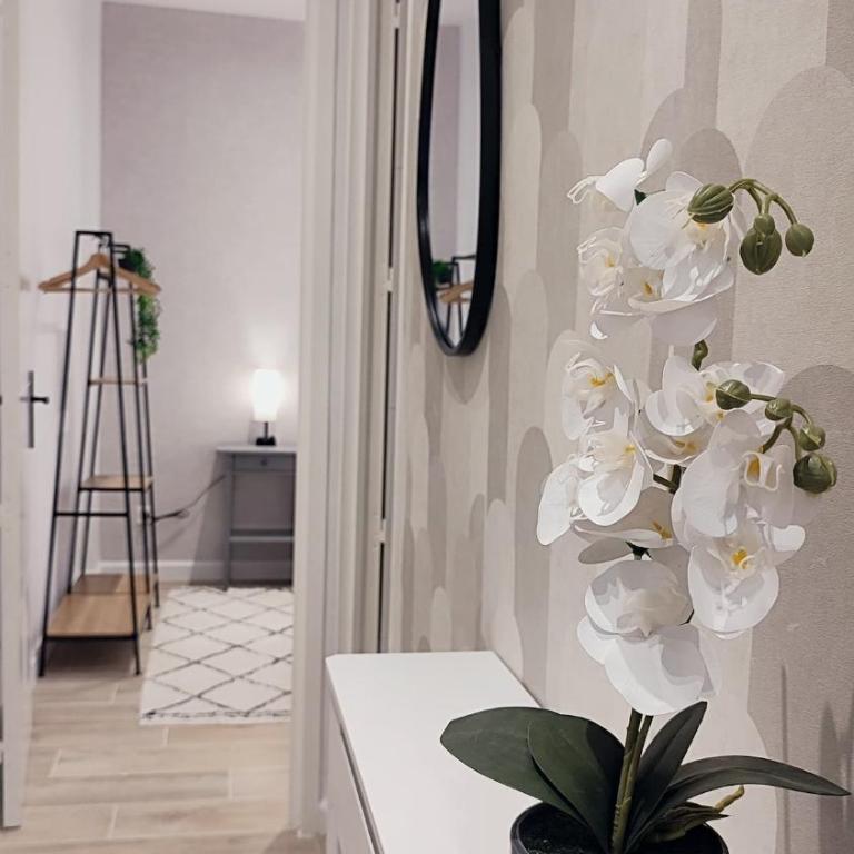 RF101- Magnifique 3 pièces centre Nice - Appartement 2 Chambres - 10