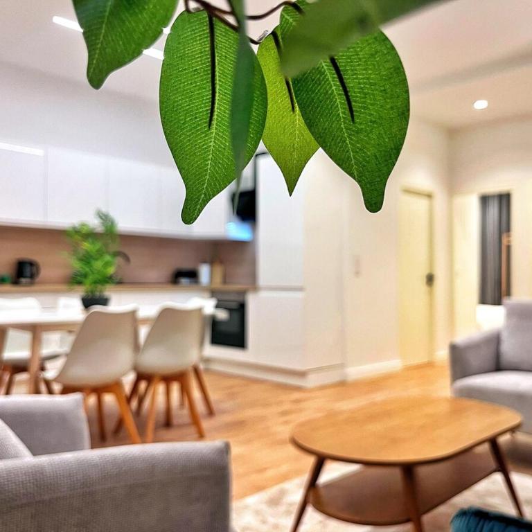 RF102 - Magnifique et spacieux 3 pièces - Appartement 2 Chambres - 17