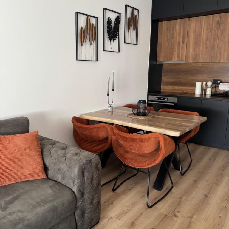 Apollo 2 - One-Bedroom Apartment - 4