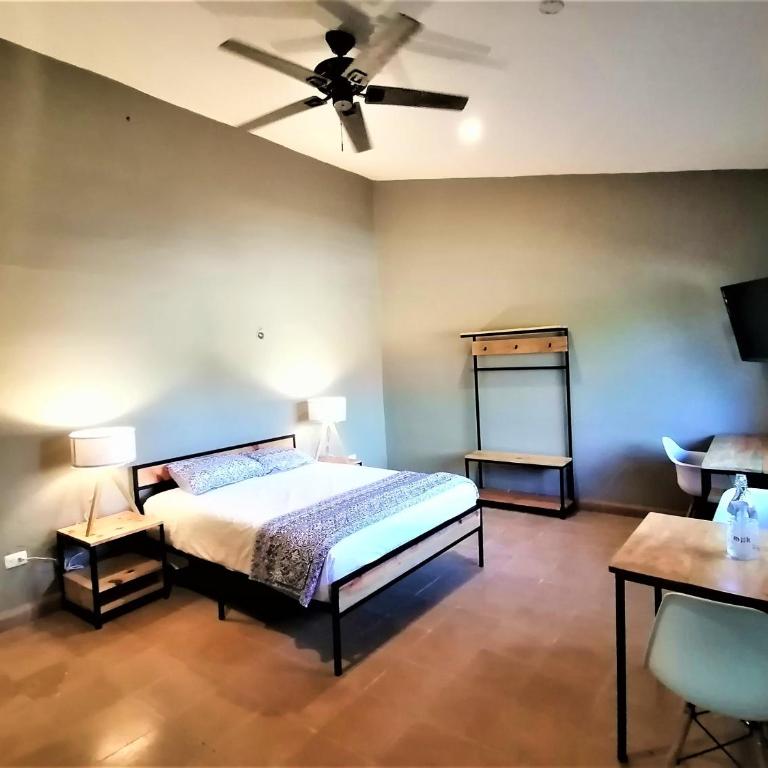 Casa Rafaelita - Standard Studio - 1