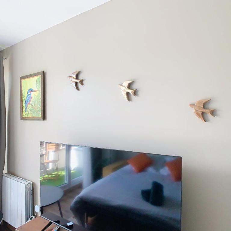 Le Bucolique - Appartement 1 Chambre - 33
