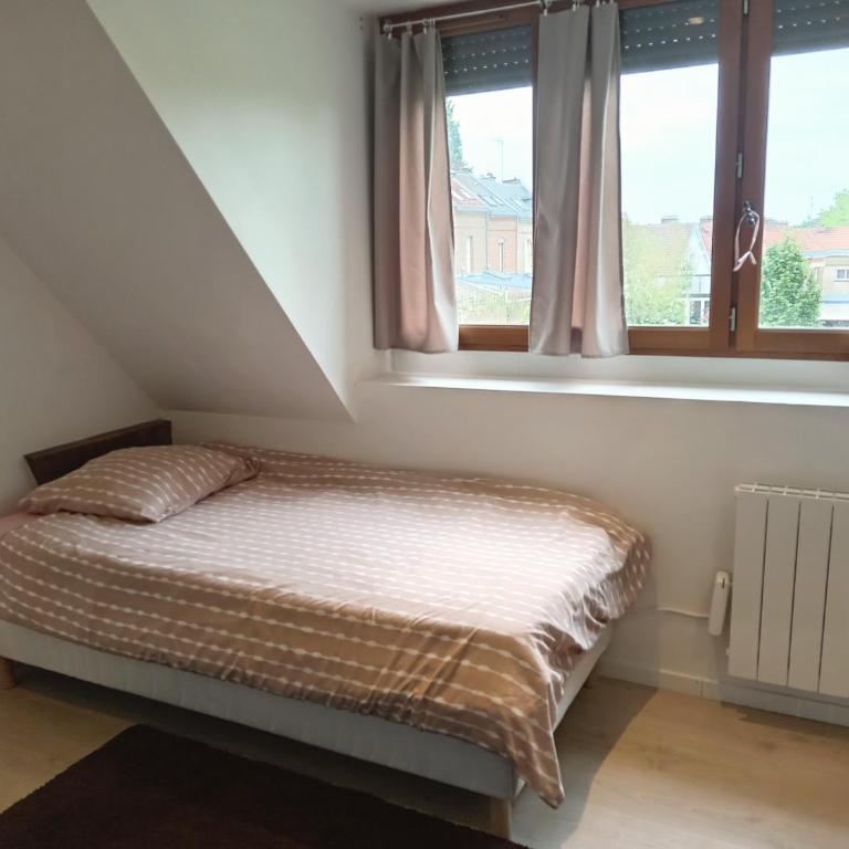T2 lumineux refait à neuf, au calme, jardin partagé - Appartement 1 Chambre - 6