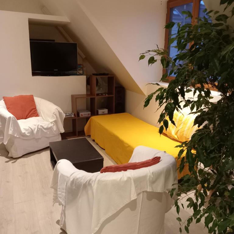T2 lumineux refait à neuf, au calme, jardin partagé - Appartement 1 Chambre - 2