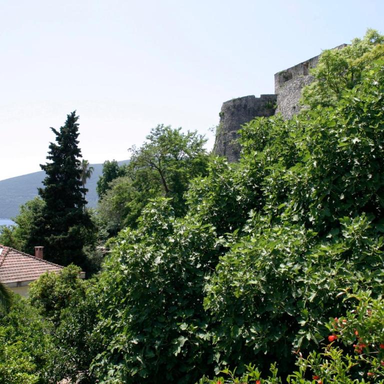 Apartman Zirojevic - Three-Bedroom Apartment - 4