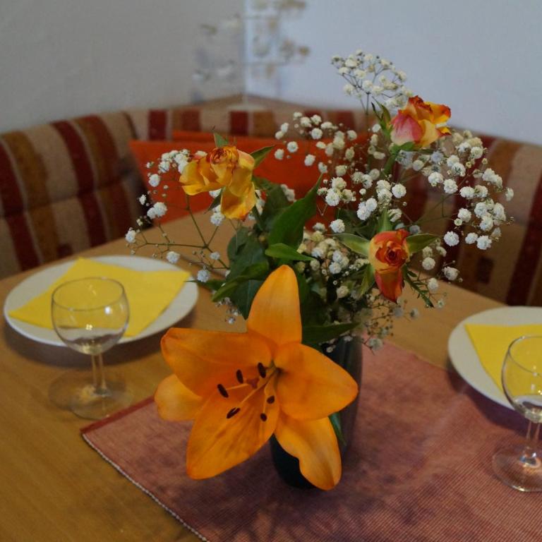 Appartements Schiffer Innerkrems - Apartment mit 1 Schlafzimmer - 6