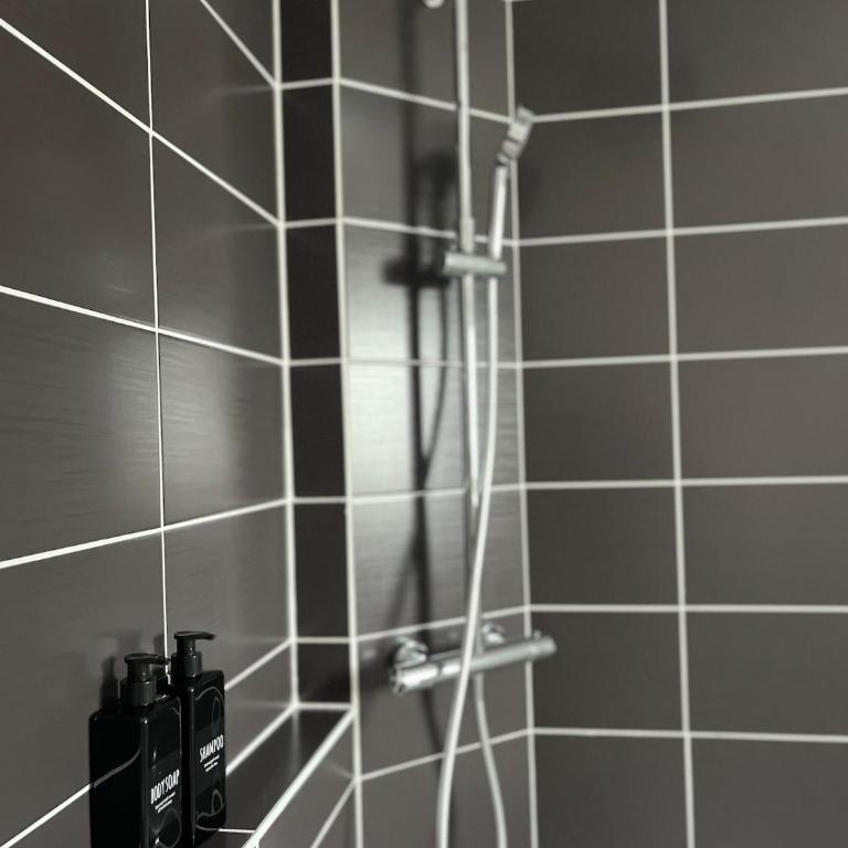 Appart Duplex Proche Centre - Appartement 2 Chambres - 13