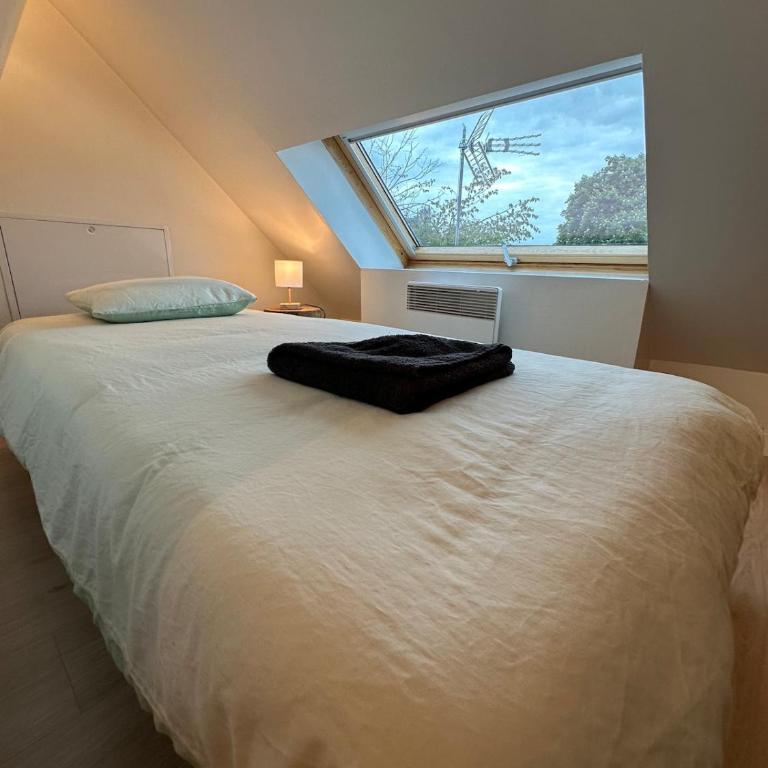Appart Duplex Proche Centre - Appartement 2 Chambres - 27