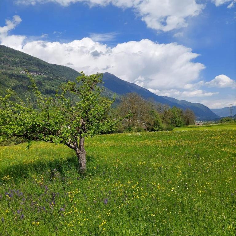 Philia Dolomiti, Folgarida - Apartment mit 2 Schlafzimmern und Bergblick - 34