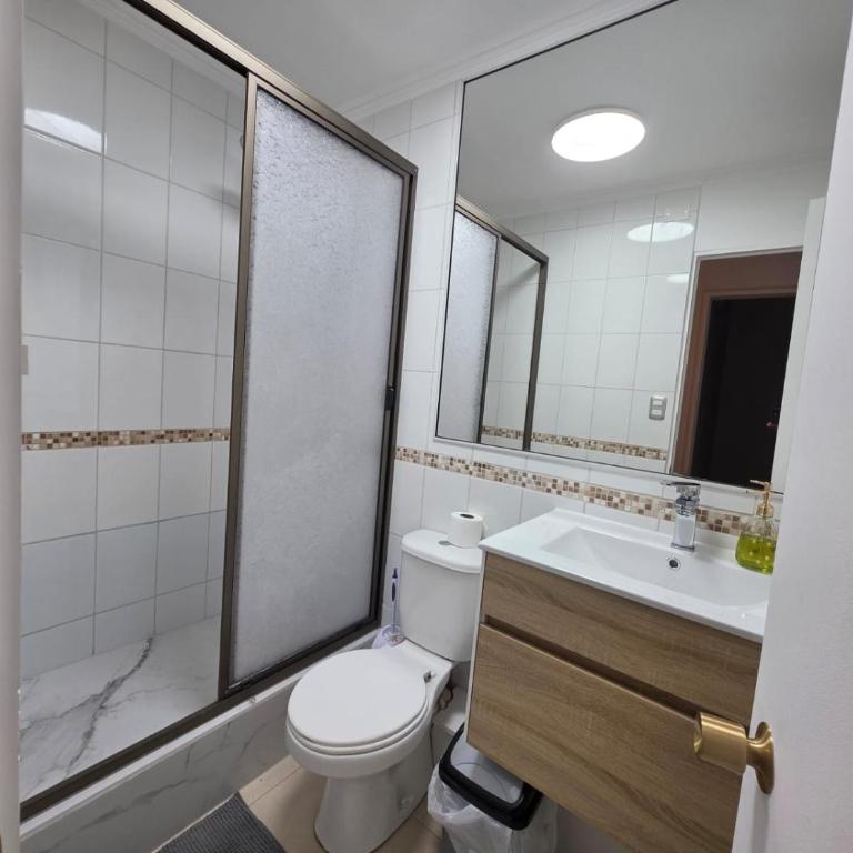 Don Alfonso Los Andes - Apartamento de 1 dormitorio - 11