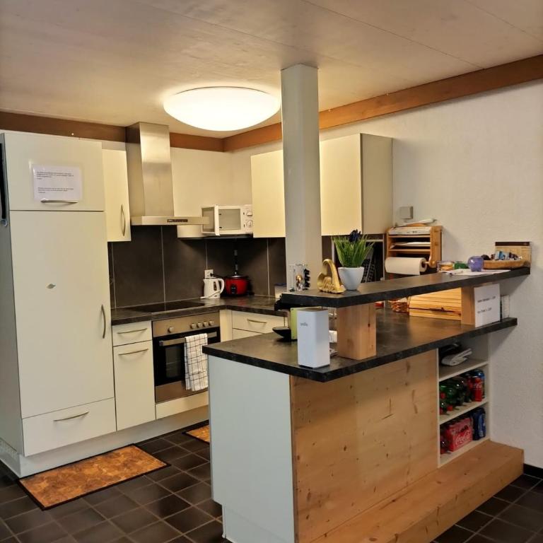 Grosszügige, charmante Wohnung in den Bergen - Apartment mit 3 Schlafzimmern und Bergblick - 11