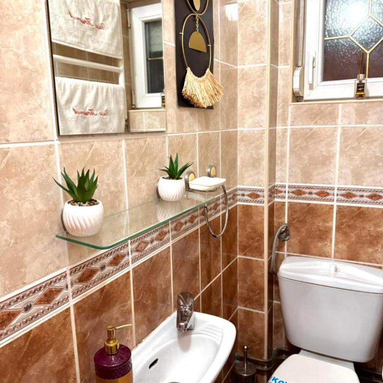 Vila Tošanić - Apartman - Prizemlje - 13
