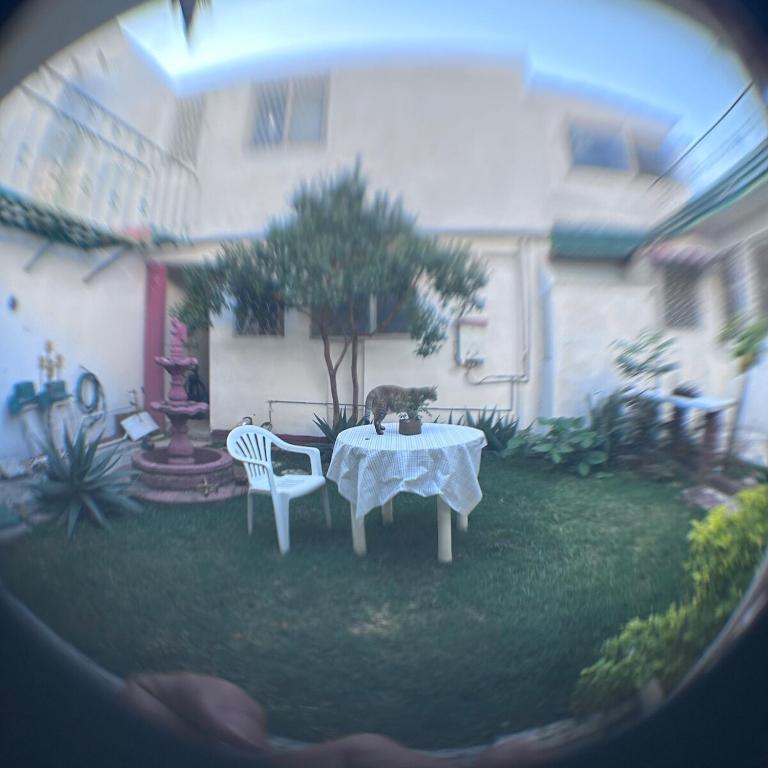 A mini apartment in Cuernavaca, in a good location - Two-Bedroom Apartment - 14