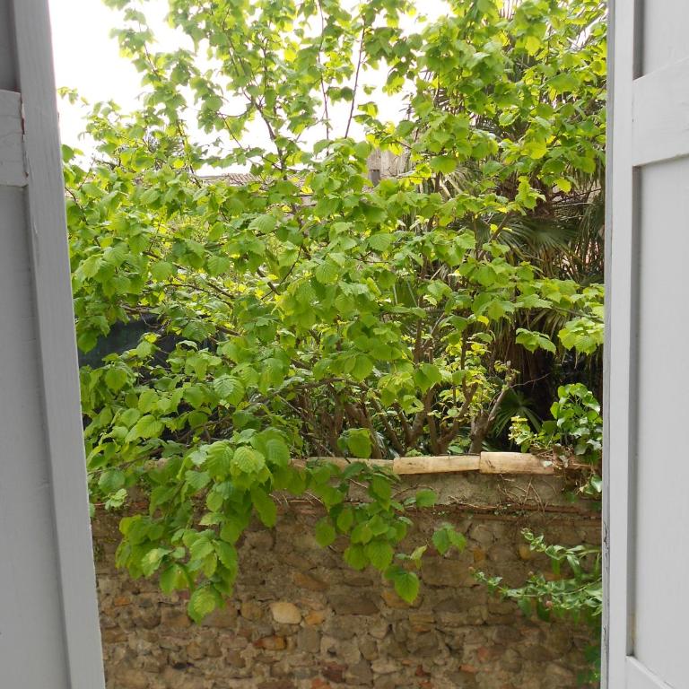 Appartements privé Pech Mary - Apartment mit 1 Schlafzimmer (4 Erwachsene) - 7