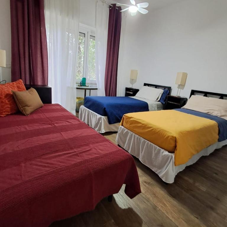 Ripe's FoRest Garden Guest House - Grande Chambre Double ou Lits Jumeaux - 18