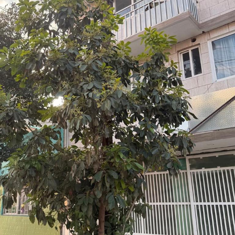 Loft perfecto para foro sol aeropuerto GNP - Apartamento de 2 dormitorios - 3