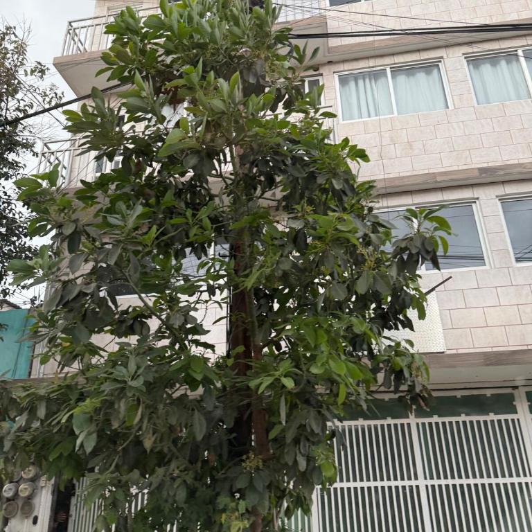 Loft perfecto para foro sol aeropuerto GNP - Apartamento de 2 dormitorios - 33