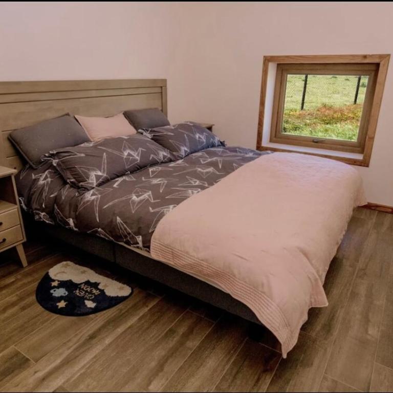 Tiny House Licarayén con Tinaja caliente - Villa de 1 dormitorio - 9